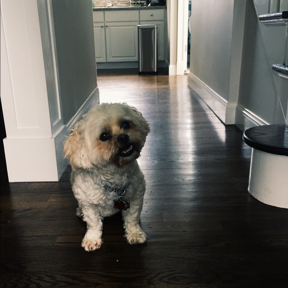 Meet your Posher, Rachel